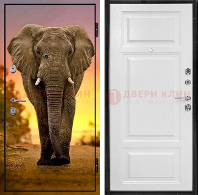 Металлическая дверь с фотопечатью слона ДФ-30 Кириши