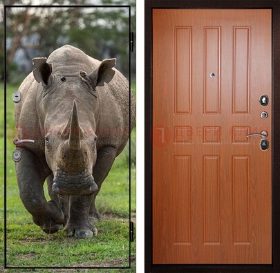 Металлическая дверь с фотопечатью носорога ДФ-31 в Зеленограде